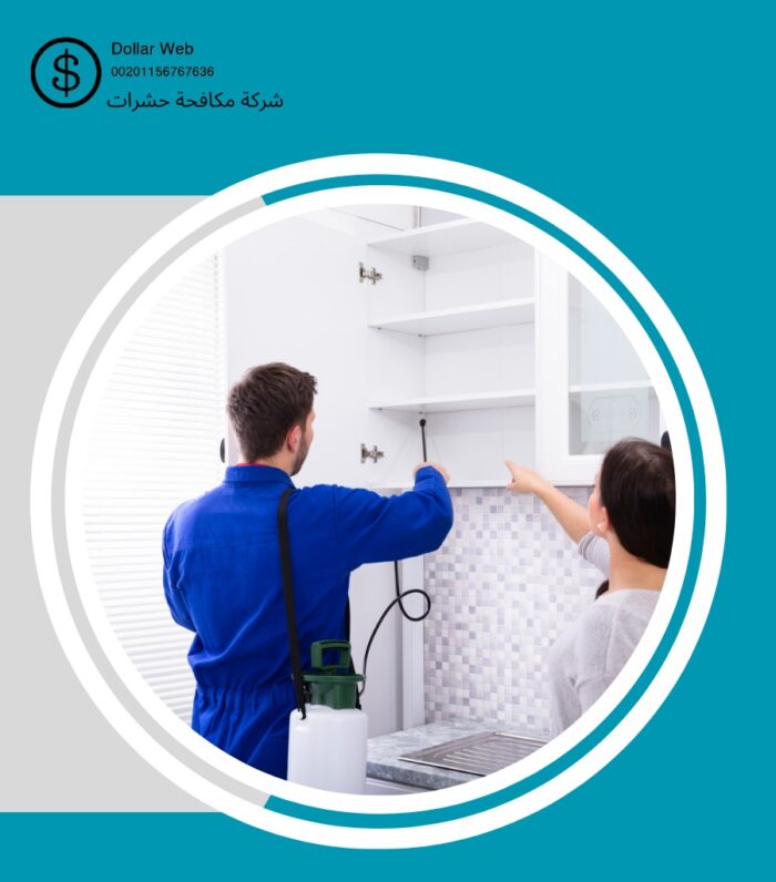مكافحة حشرات العقيق بالرياض