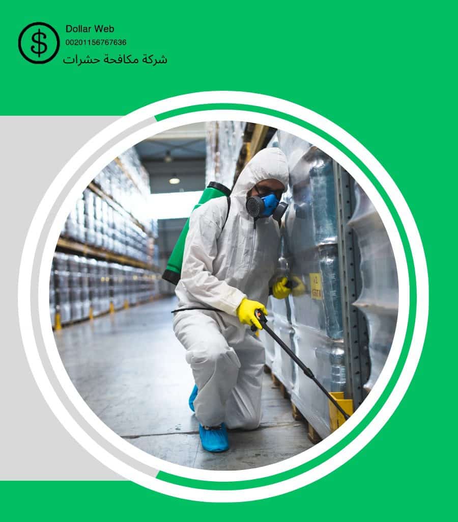 مكافحة حشرات منفوحة بالرياض