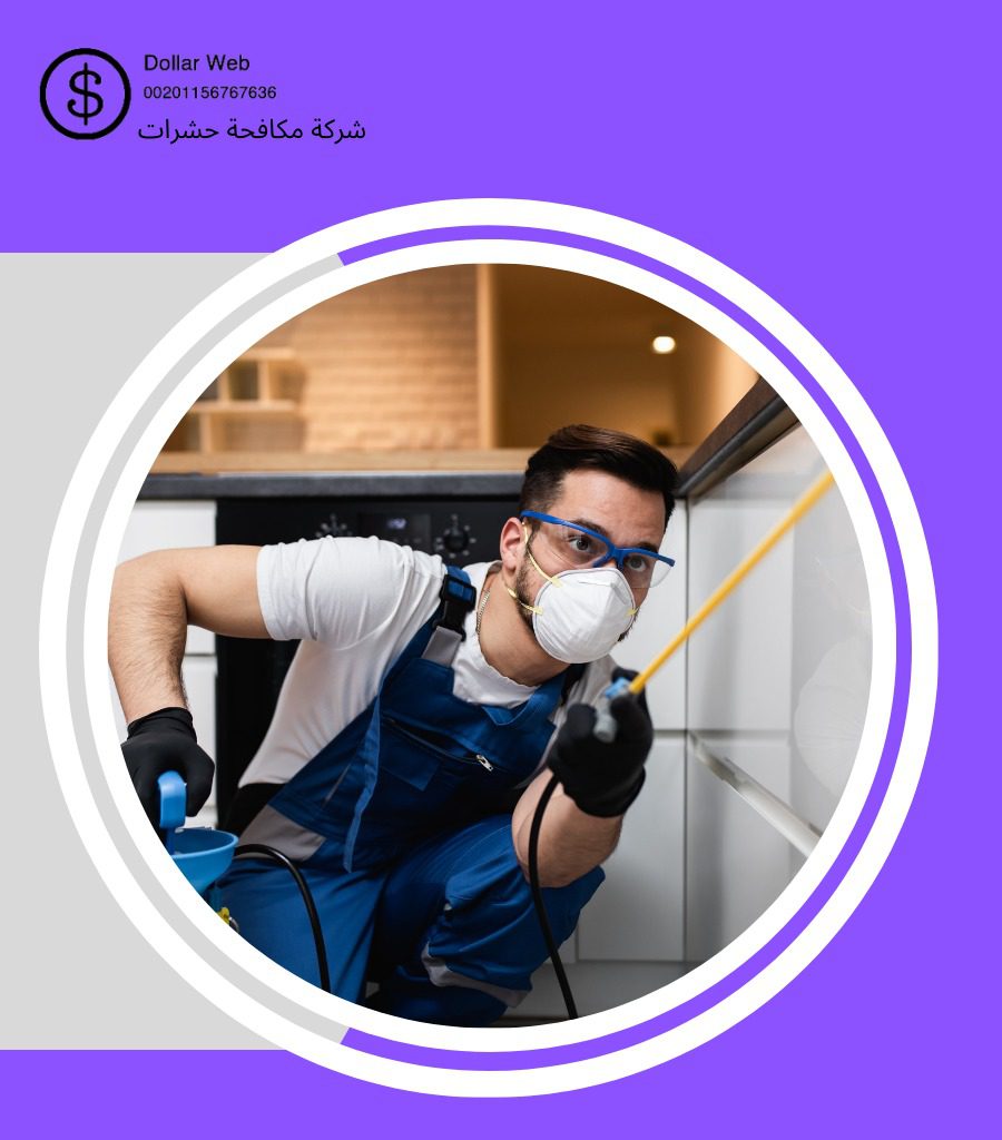 رش حشرات المربع بالرياض