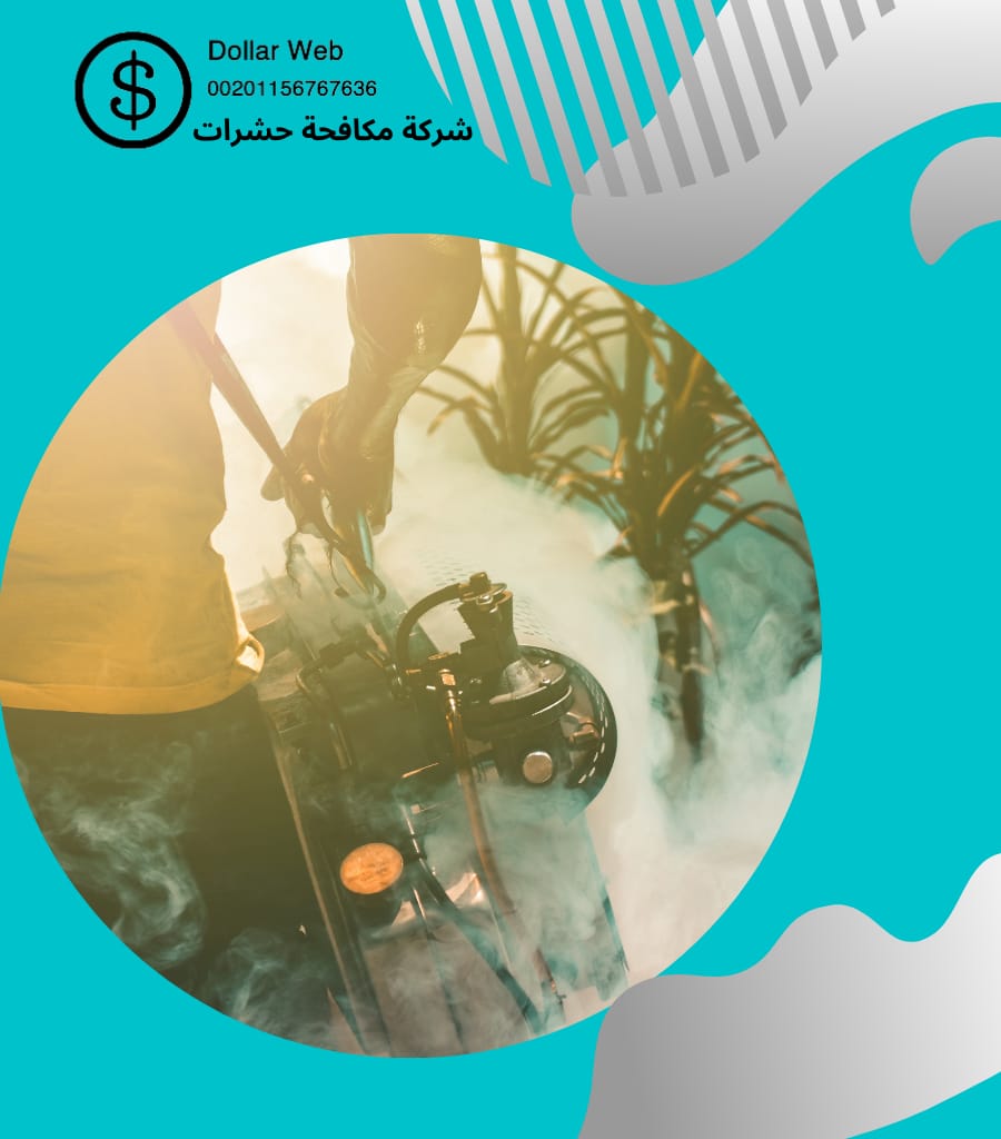 مكافحة حشرات حي الديره بالرياض