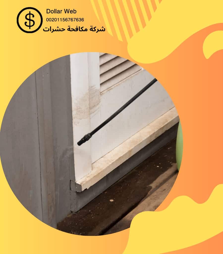 مكافحة حشرات حي البطحاء بالرياض
