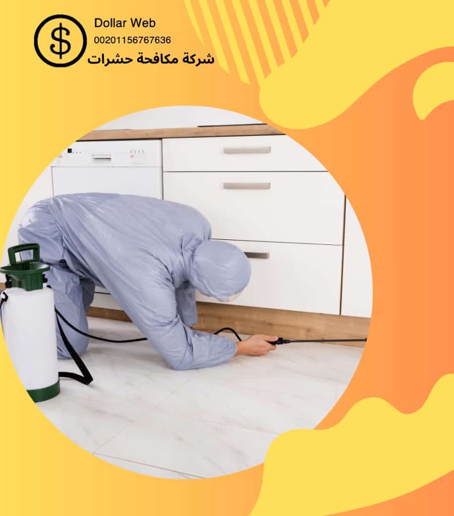 مكافحة حشرات حي المونسية بالرياض