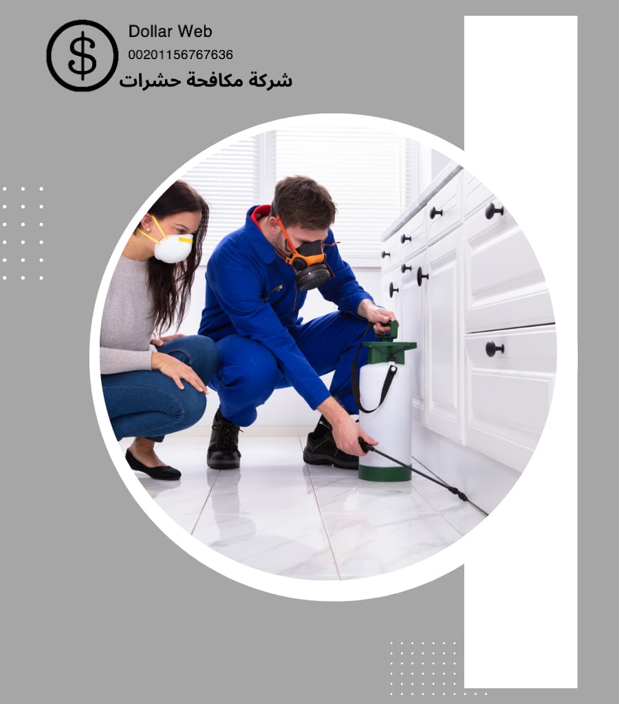 مكافحة حشرات حي السلي بالرياض