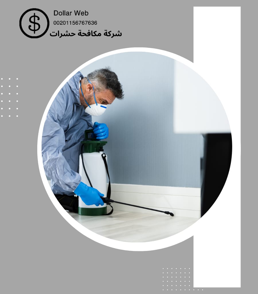 مكافحة حشرات حي الجزيرة بالرياض